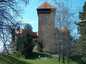 dubovac